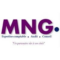 MNG audit & consulting